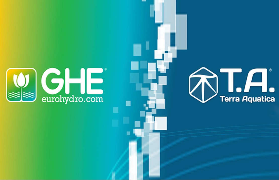 Big Rebranding In The Industry: GHE becomes T.A.