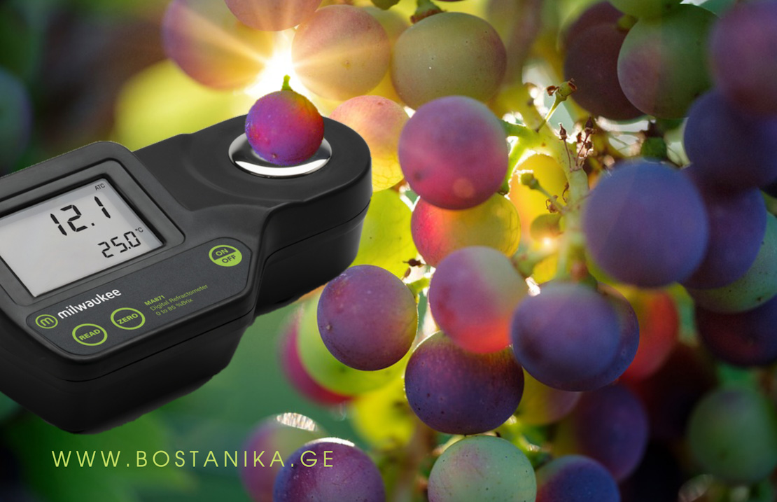 High-Tech In Winemaking