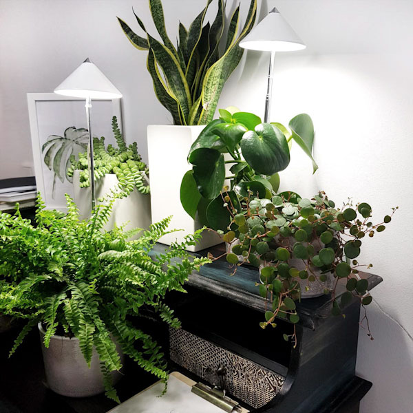 Parus iSUN Pot-Led Indoor Gardening