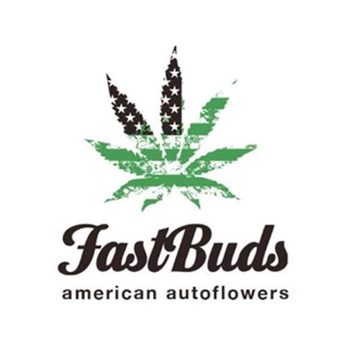 G14 Auto (FastBuds Seeds) Autoflowering Seeds